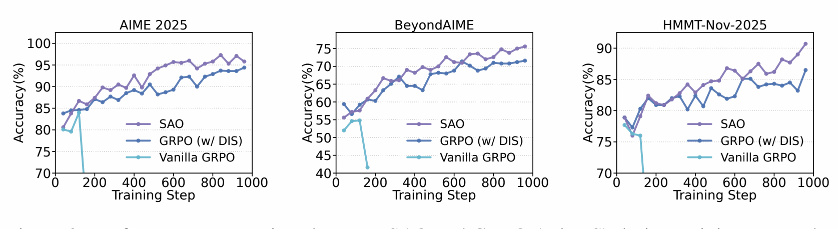 SAO training performance