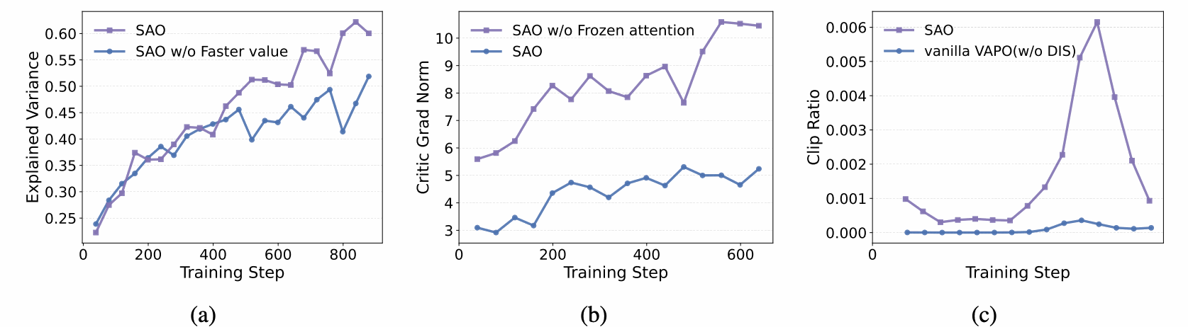 SAO training dynamics